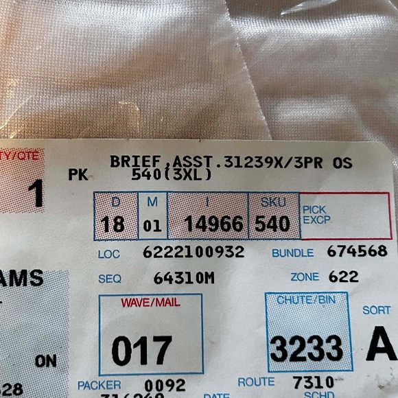 3 BRIEFS, 100% NYLON WHITE/BLACK/NUDE, SIZE 3X, SEARS, IN ORIGINAL BAG, TAGS ON, - Picture 4 of 6